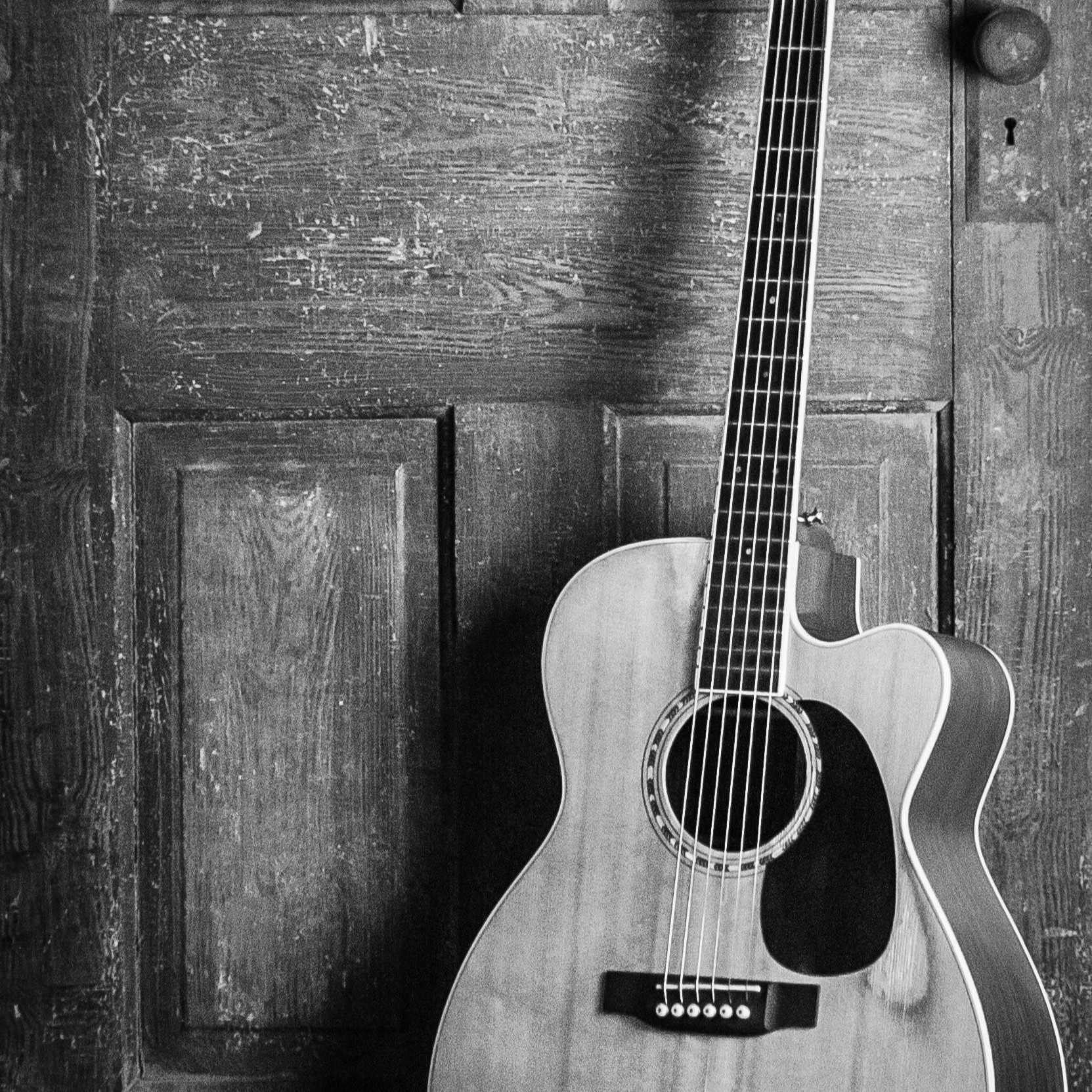 Guitar in front of a door in gray.