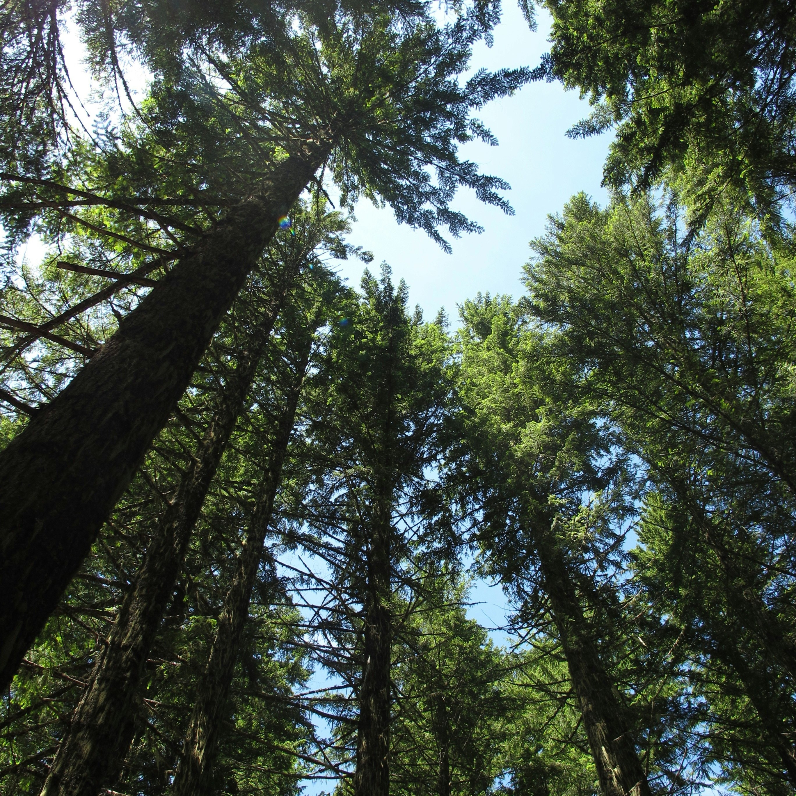 Picture of pedestrian crossing with people walking over it in gray and a bit blured.